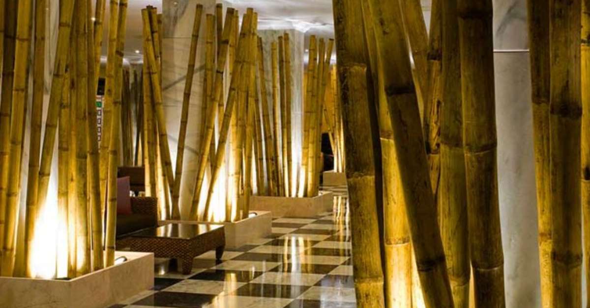 Een foto van Las Piramides Resort