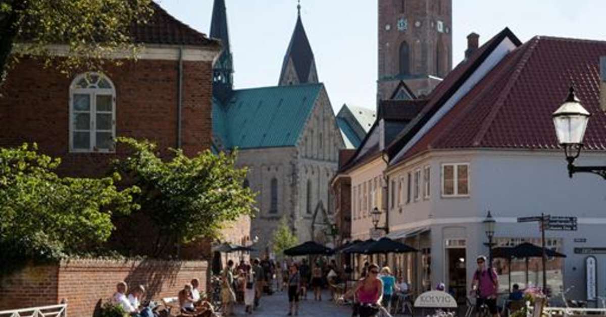 Een foto van Ribe Byferie