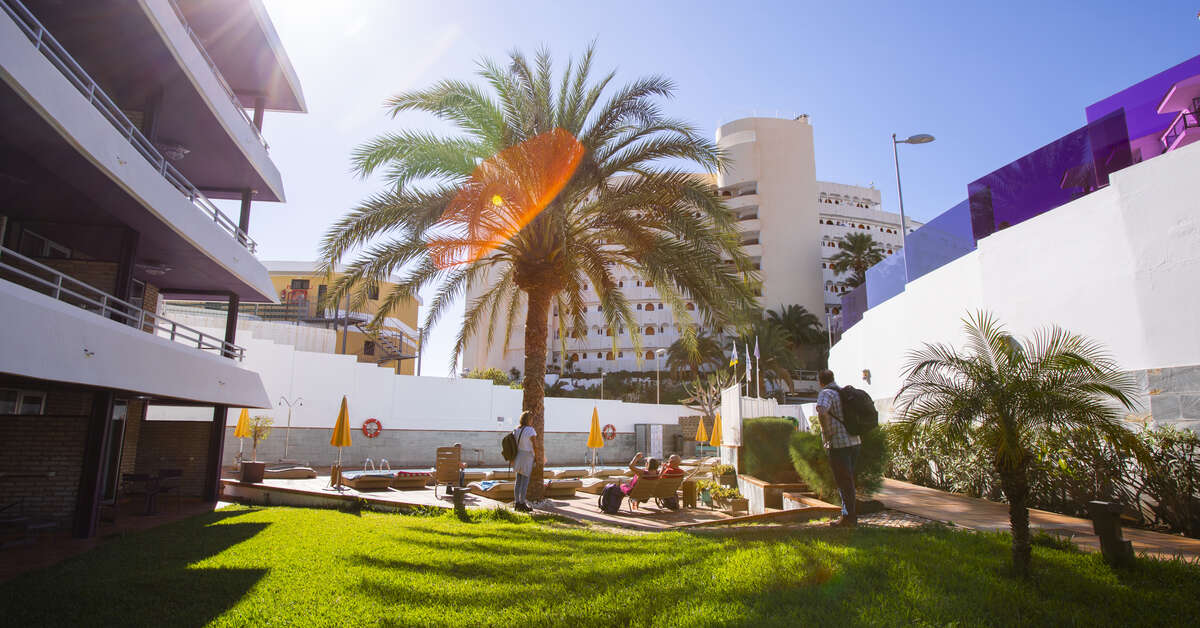 Een foto van het terras bij Las Jacarandas Beach