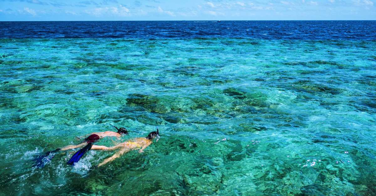 Een foto van Mercure Maldives Kooddoo Resort