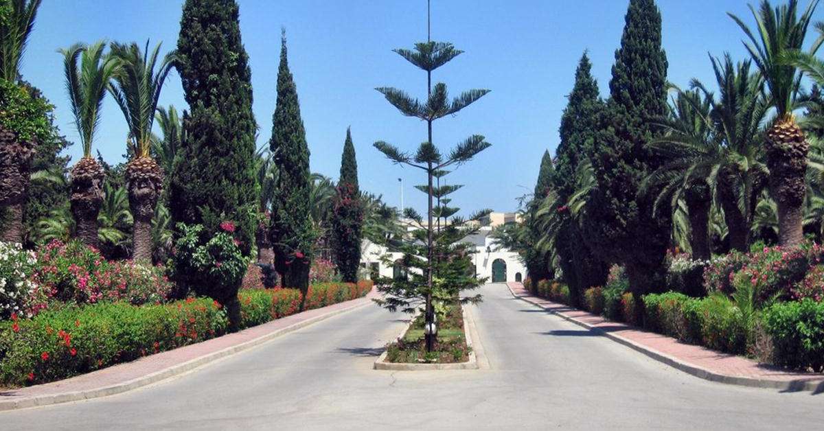 Een foto van Delfino Beach Resort & Spa