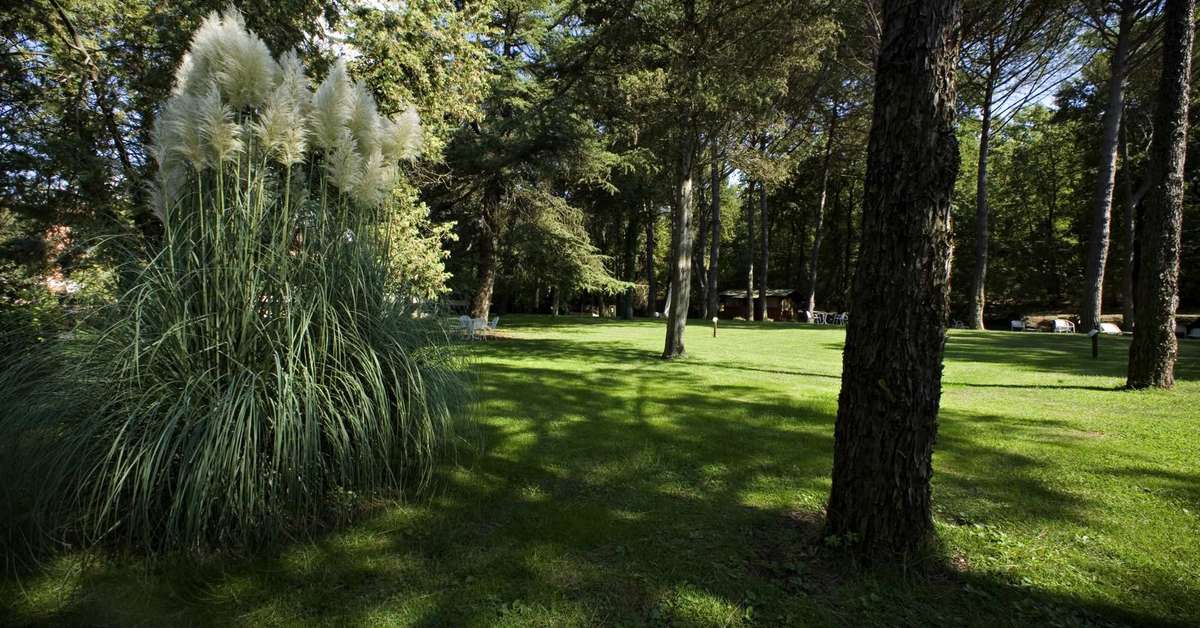 Ein Foto Montebelli Agriturismo Country Hotel