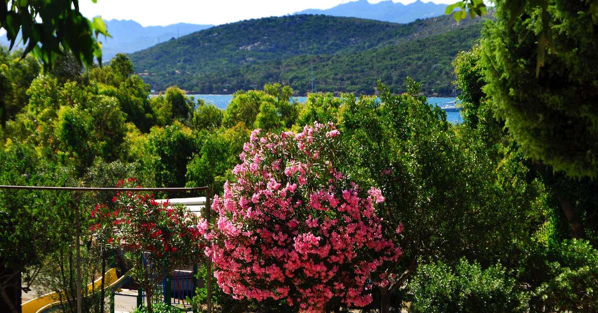 Een foto van de buitenkant van Camping Village Capo d'Orso