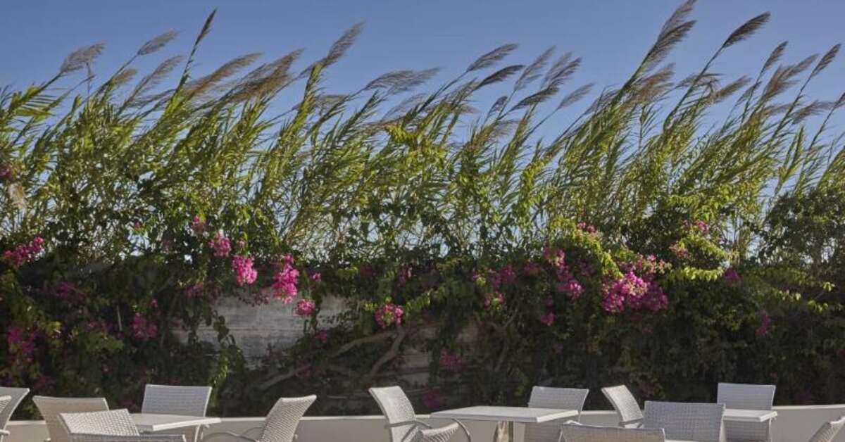 Een foto van de faciliteiten bij Zeus Kos Beach