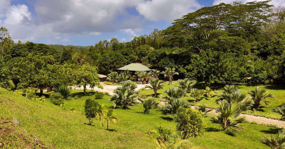 Ein Foto Lakaz Chamarel Exclusive Lodge