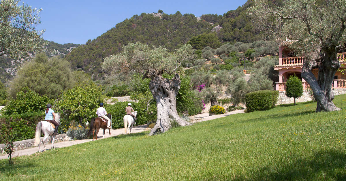 Ein Foto Eco Hotel Rural & Spa Monnaber Nou