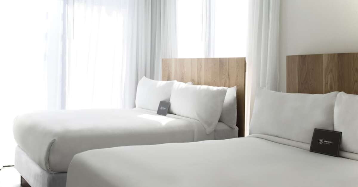 Een foto van The March Hotel