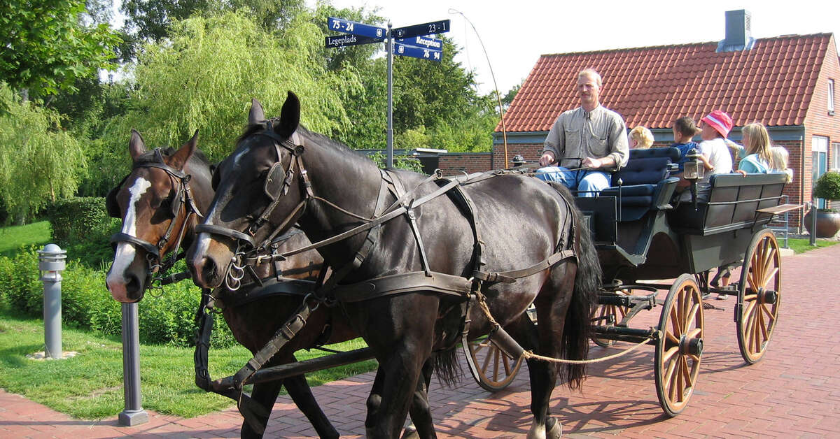 Een foto van Ribe Byferie
