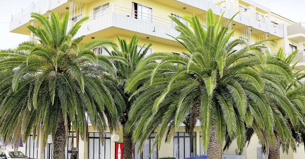 Een foto van Bei Juan Hotel