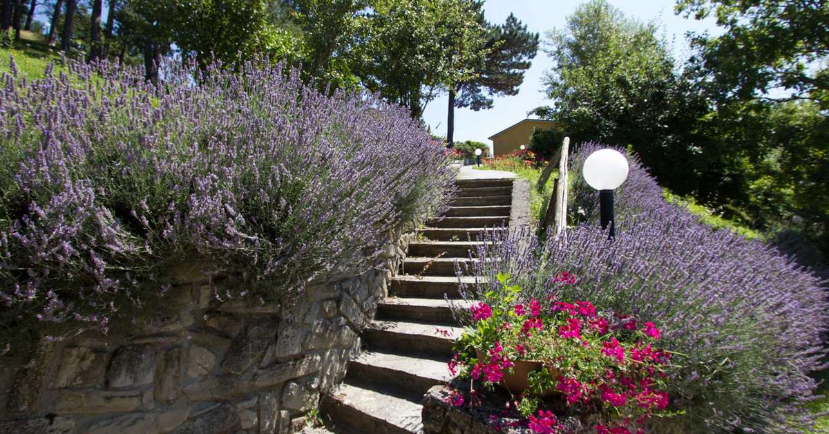 Een foto van de buitenkant van Vakantiepark I Cancelli