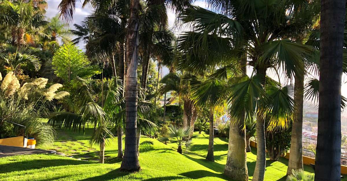 Ein Foto von der Terrasse im Hotel Tigaiga