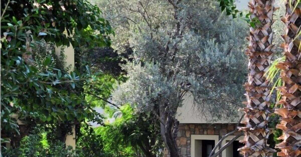 Ein Foto Hotel Zeytinada