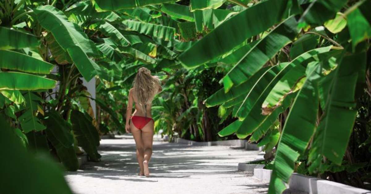 Een foto van Malahini Kuda Bandos