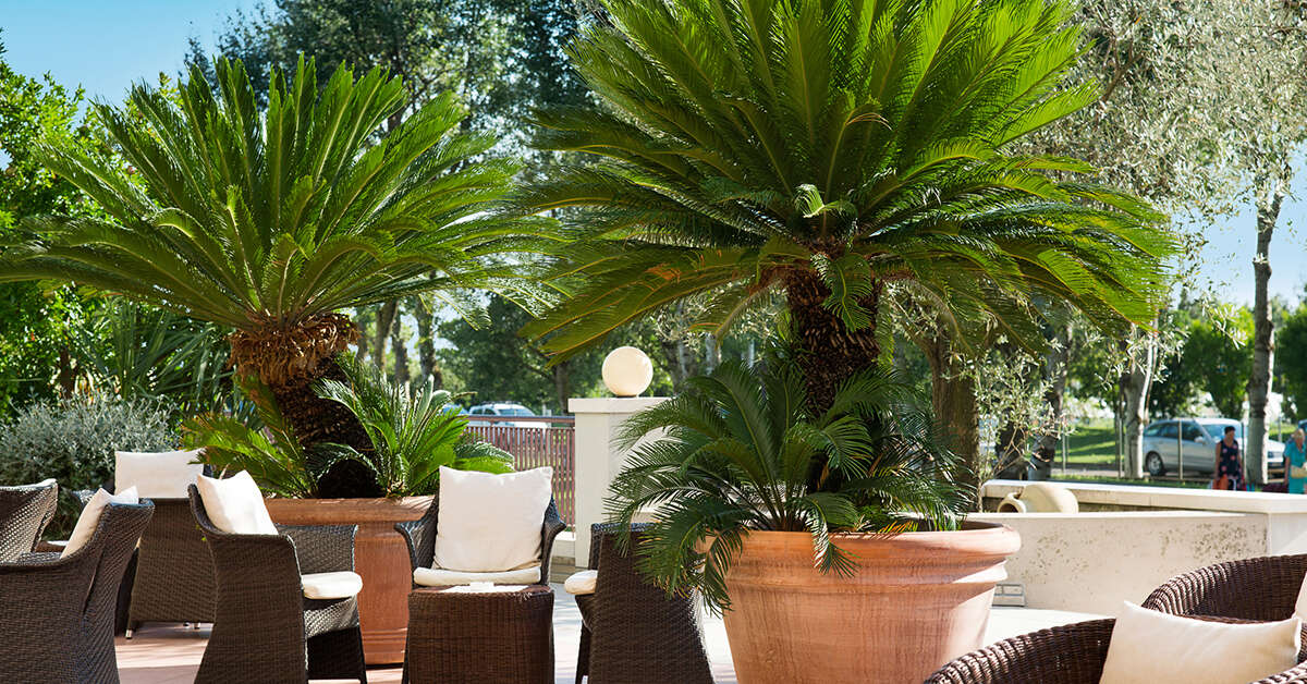 Een foto van Savoy Beach Hotel Bibione