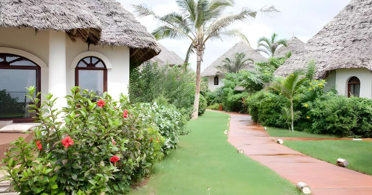 Een foto van Essque Zalu Zanzibar
