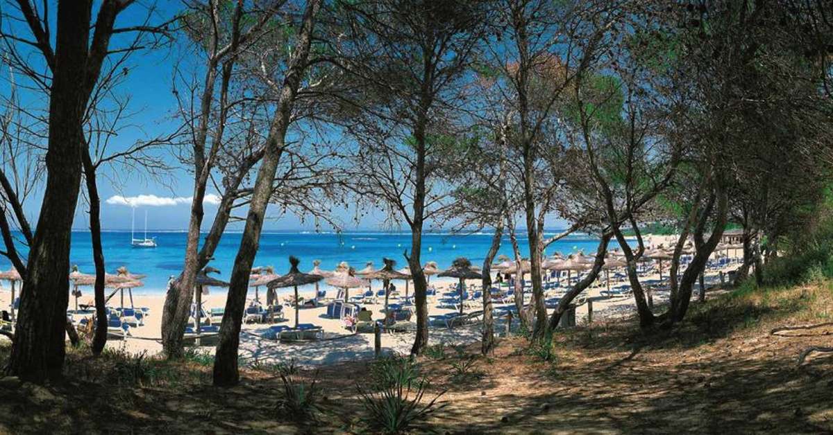 Een foto van het strand bij Appartementen Es Trenc