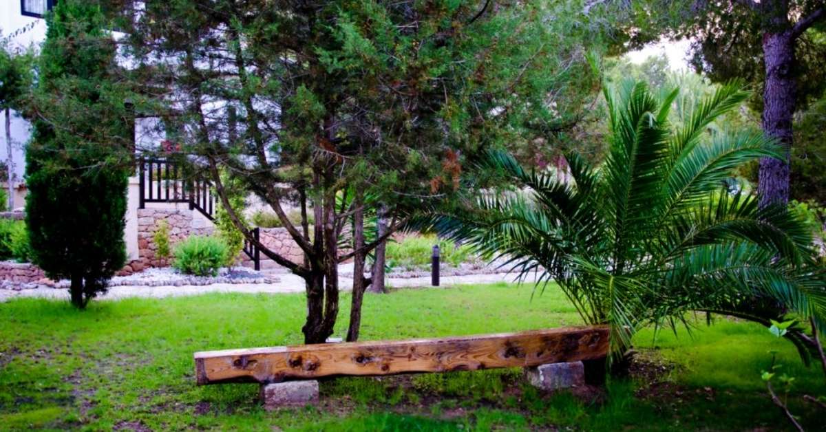 Een foto van Paraiso De Los Pinos