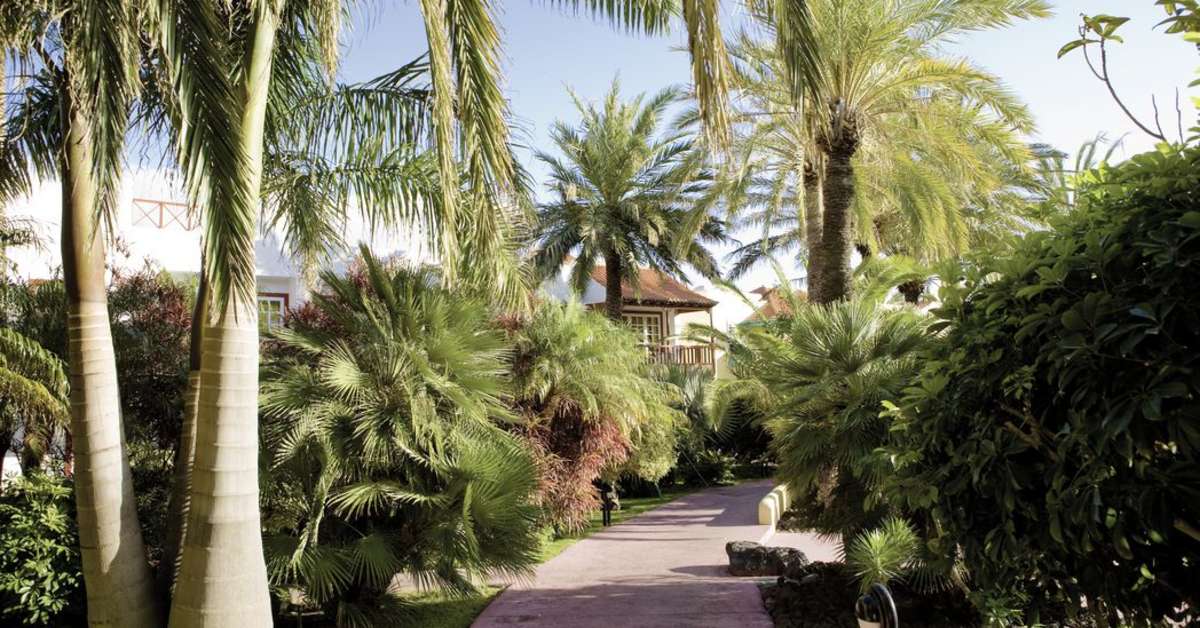 Een foto van het terras bij Hacienda San Jorge
