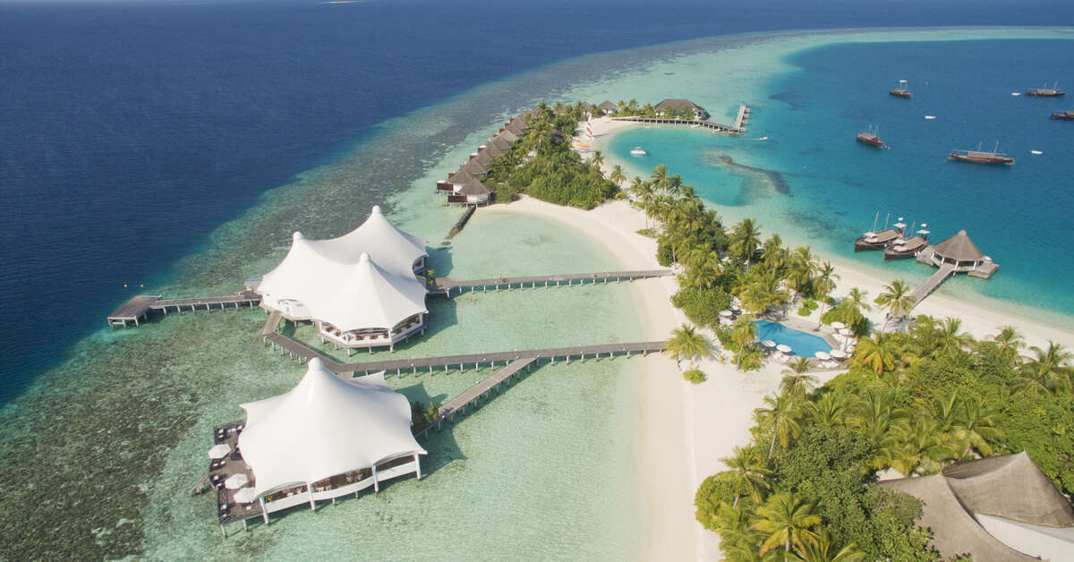Een foto van Safari Island