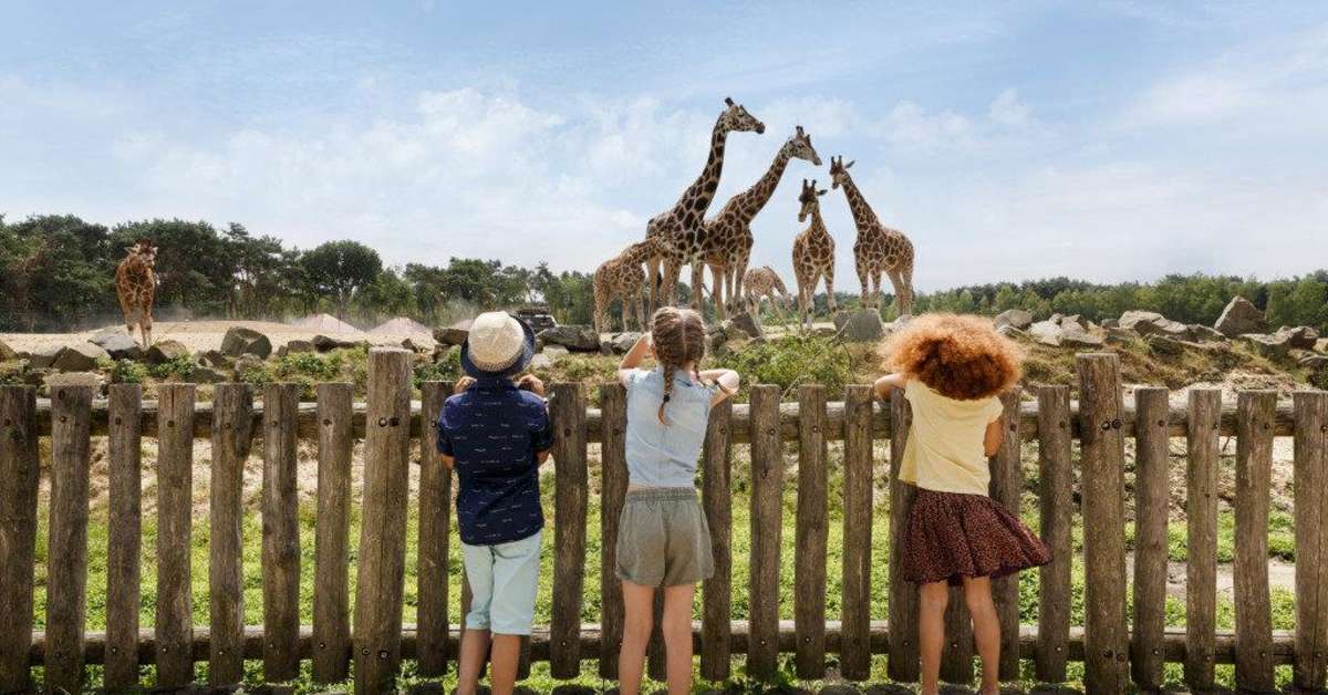 Een foto van Lake Resort Beekse Bergen