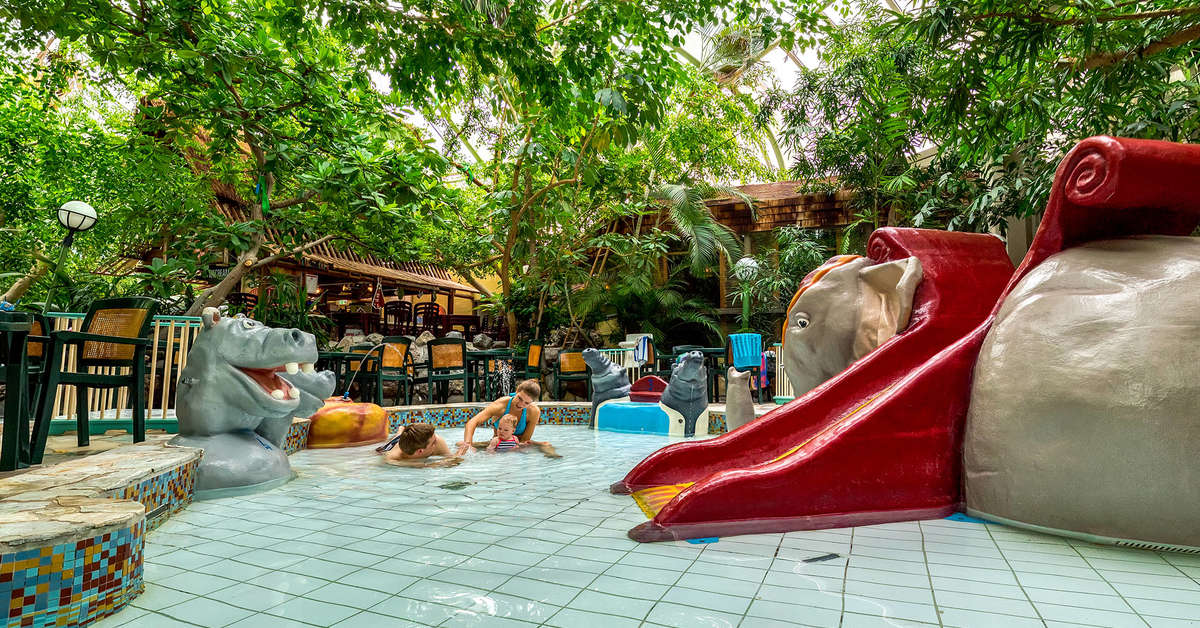 Een foto van het zwembad bij Center Parcs De Vossemeren