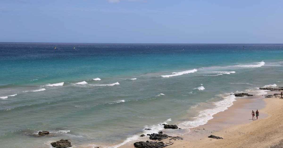 Een foto van het strand bij Royal Palm Resort & Spa