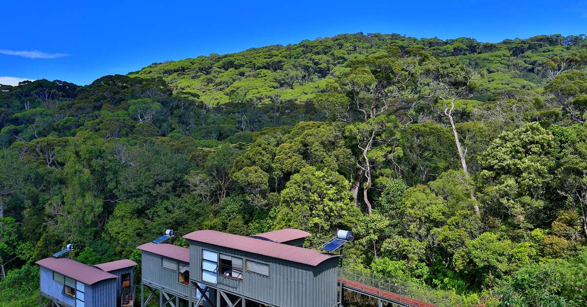 Een foto van Rainforest Eco Lodge