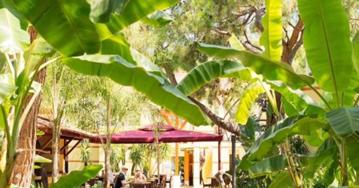 Een foto van het terras bij Robinson Club Camyuva