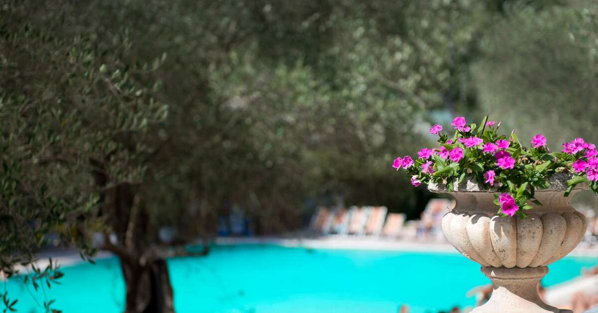 Een foto van Hotel Terme Forlenza