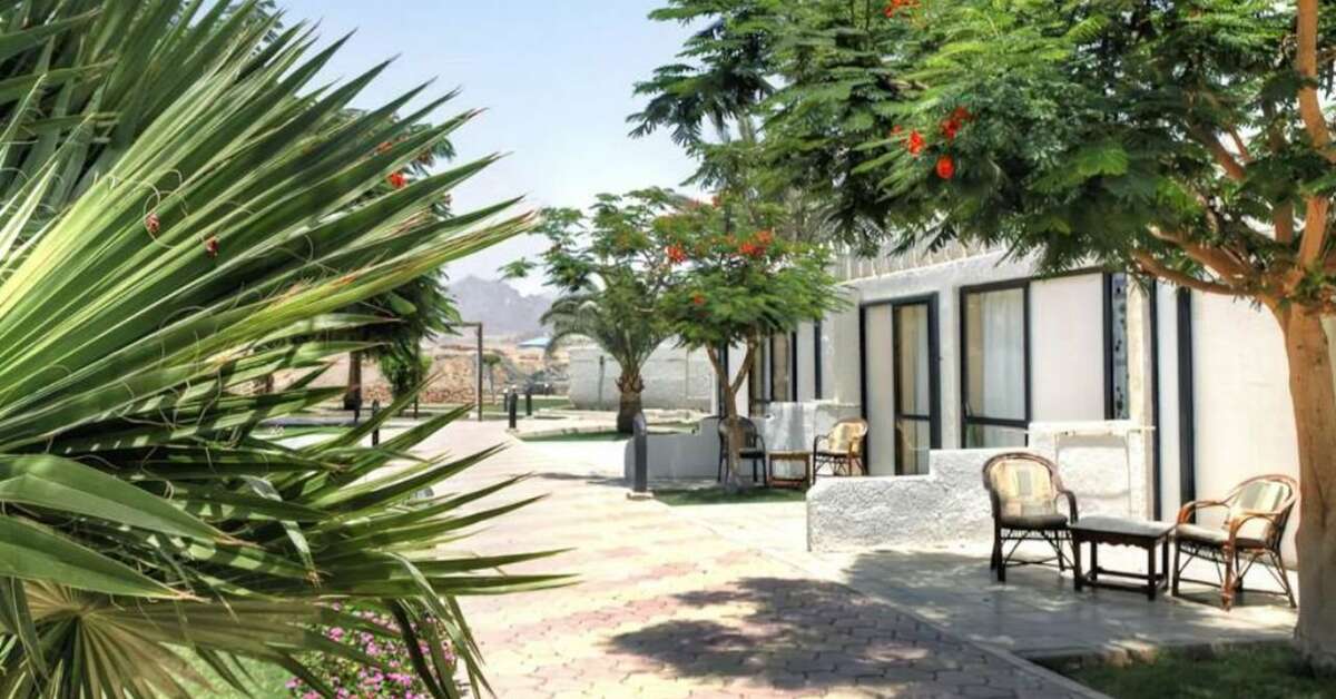 Een foto van Albatros Sharm Resort