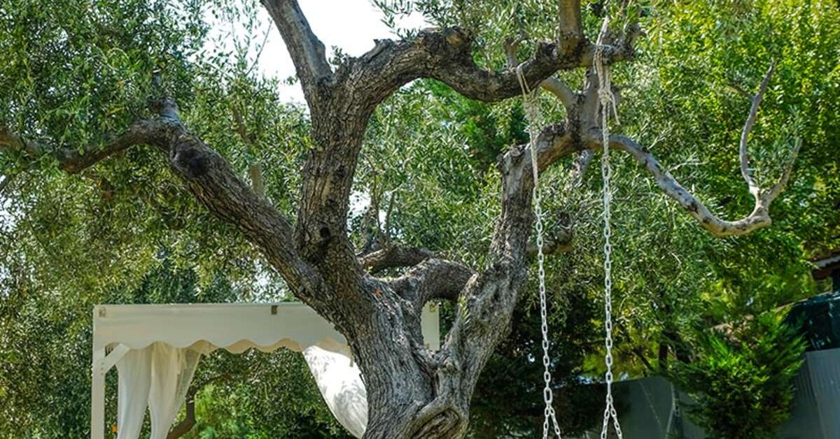 Een foto van Acrotel Athena Villas
