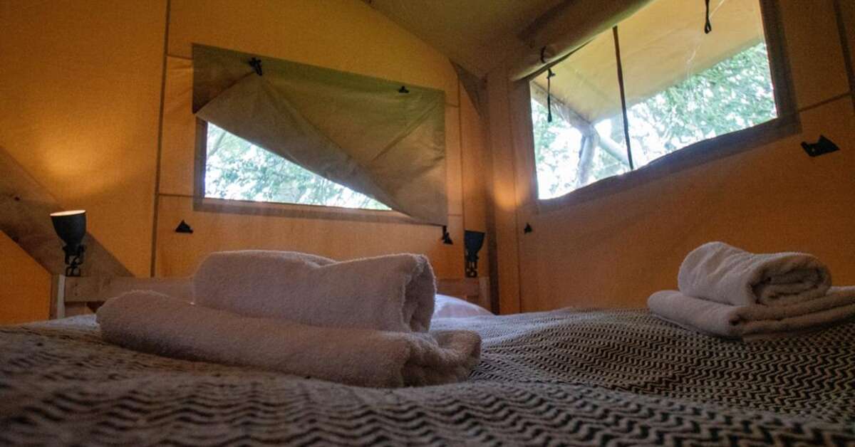 Een foto van Ecolodges de Dreef