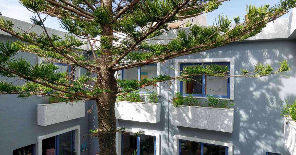 Een foto van het terras bij Sofia Hotel Plakias