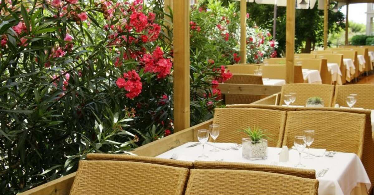 Een foto van Hotel Zafiro Bahia