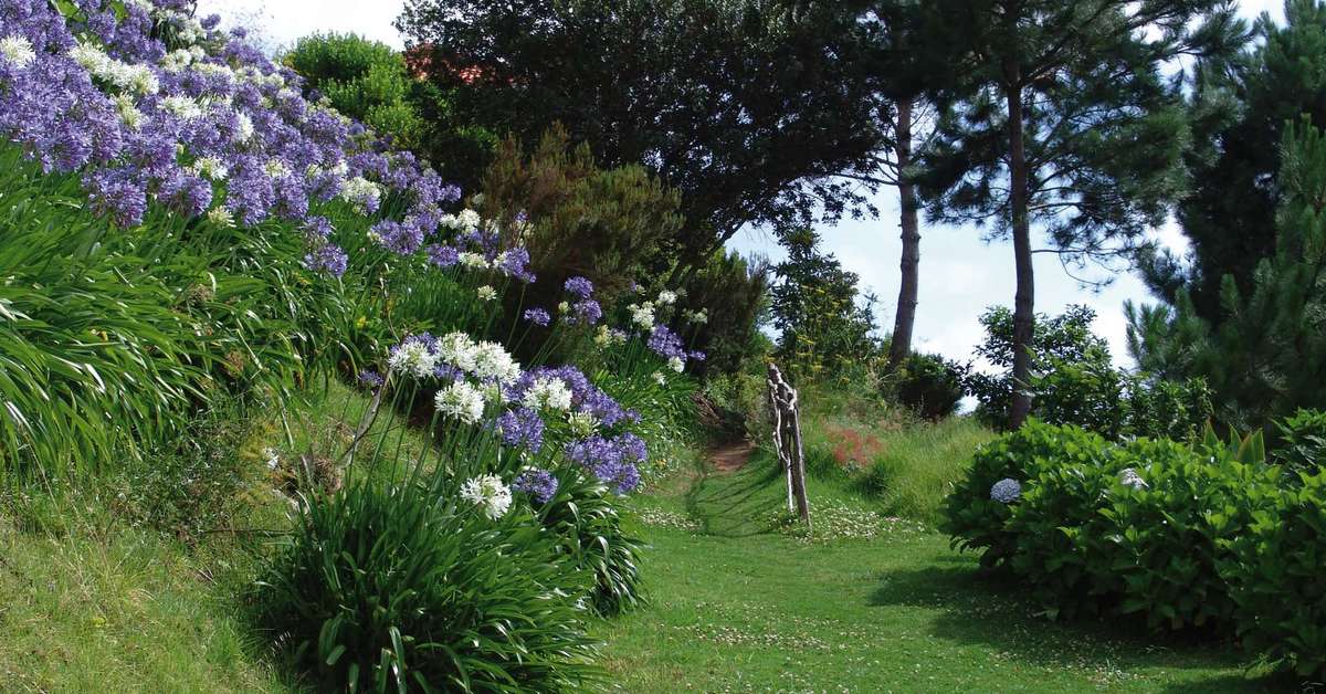 Een foto van Hotel Jardim Atlantico