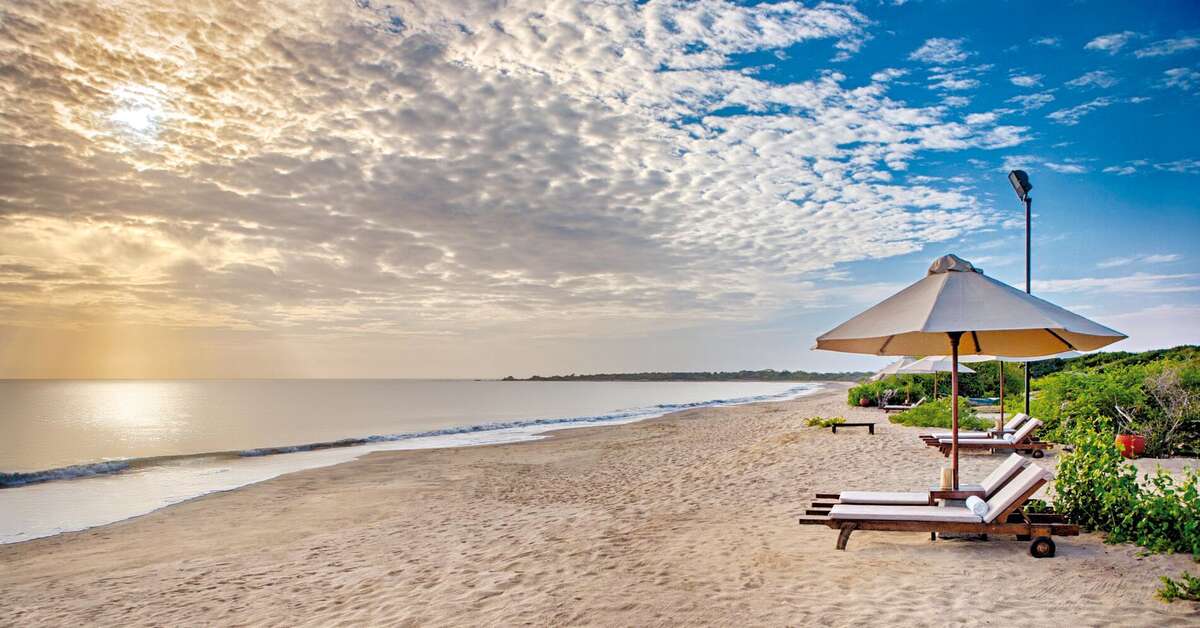 Een foto van Jungle Beach Resort