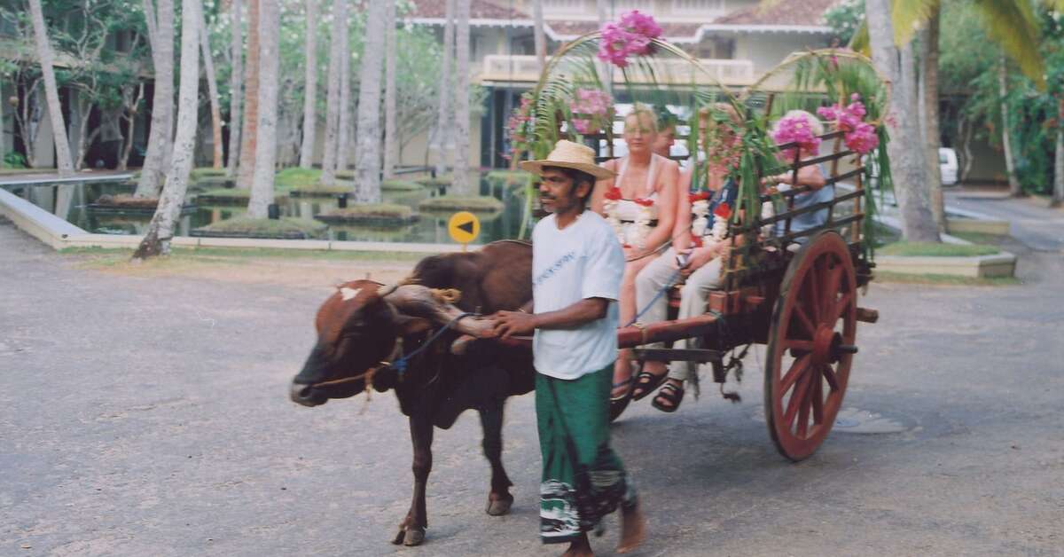 Een foto van Heritance Ahungalla