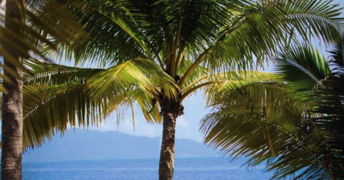 Een foto van Santiburi Koh Samui