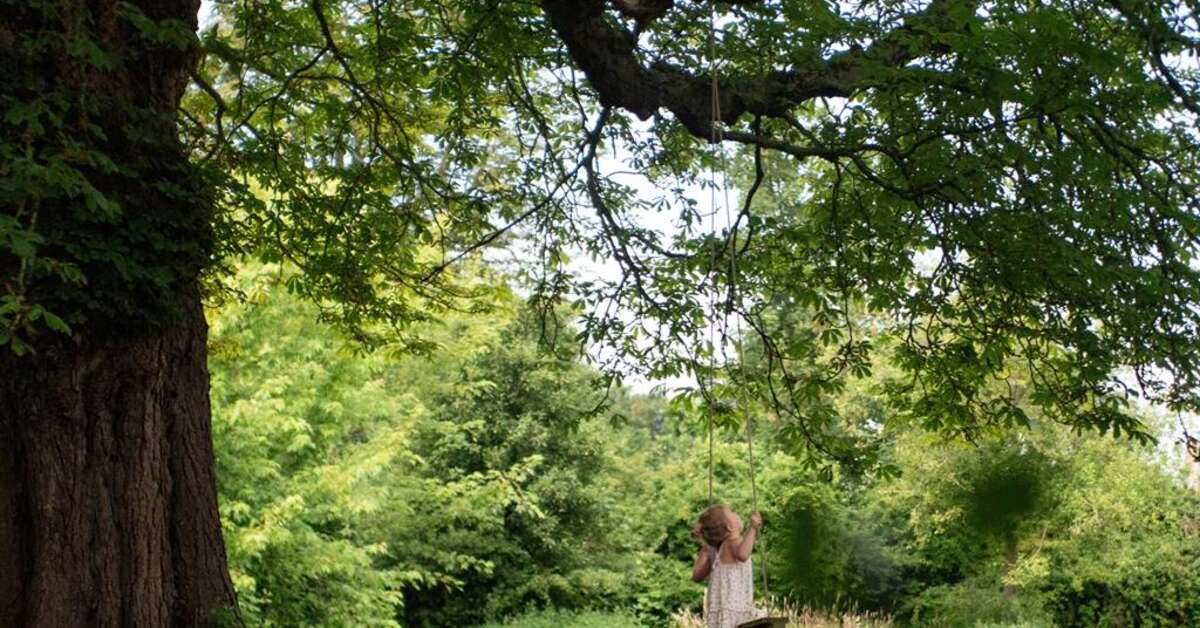Een foto van Ecolodges de Dreef
