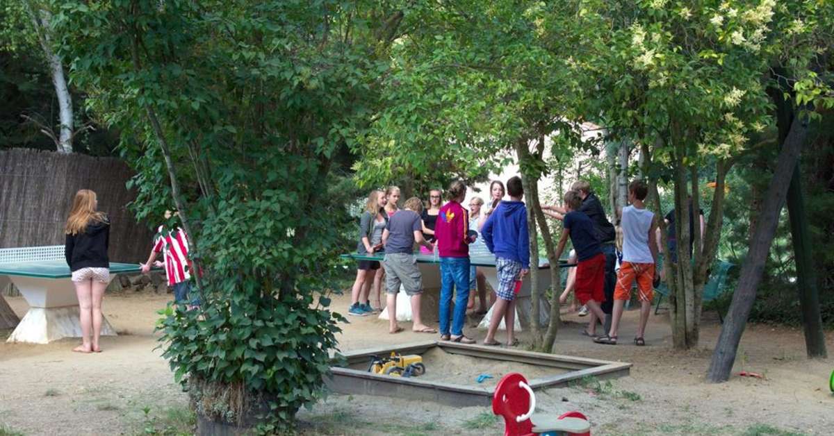 Een foto van de faciliteiten bij Camping le Rotja