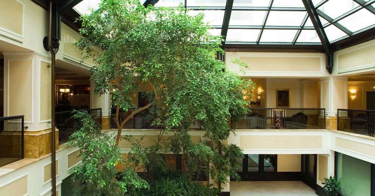 Een foto van Starhotels Du Parc