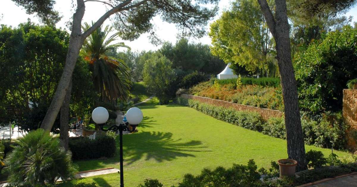 Een foto van Beach Club Font de Sa Cala