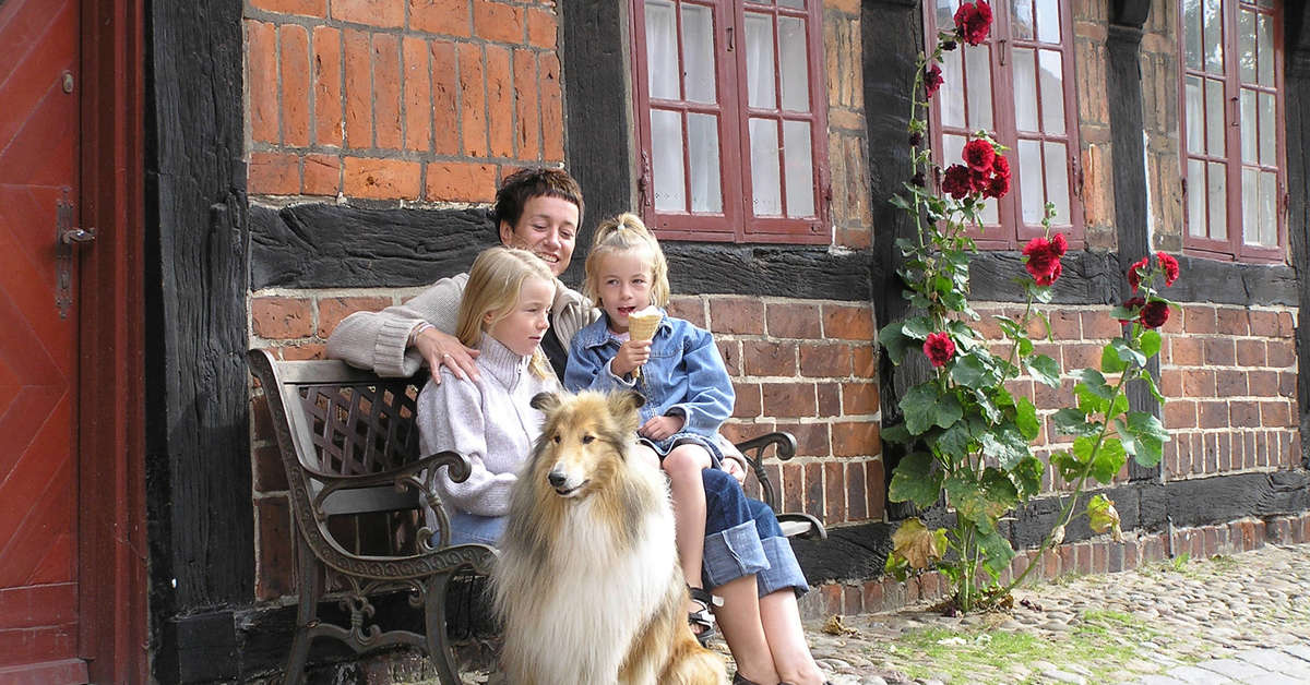 Een foto van Ribe Byferie
