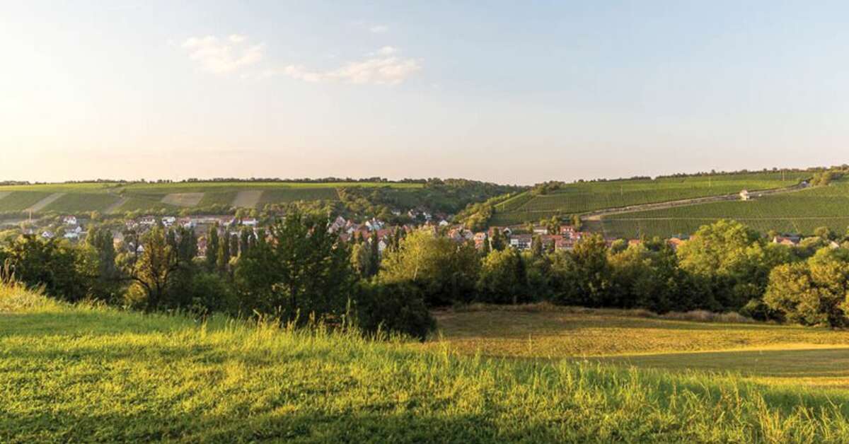 Ein Foto Polisina Wald- & Sporthotel