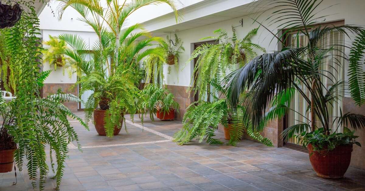 Een foto van Hotel Marquesa