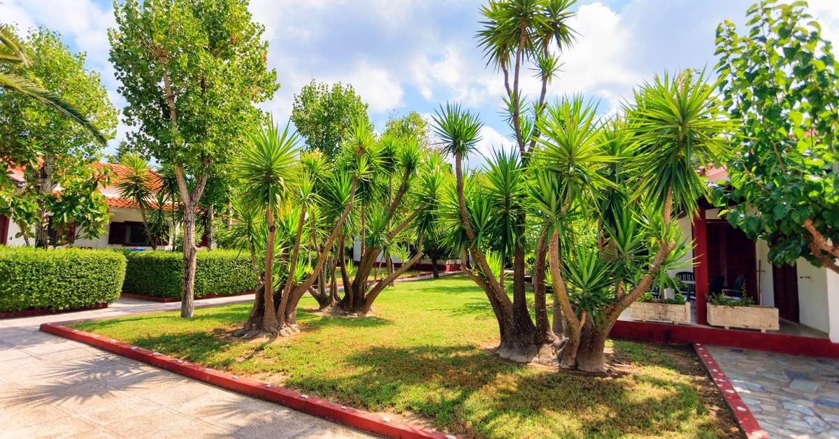Een foto van het terras bij Alykes Park