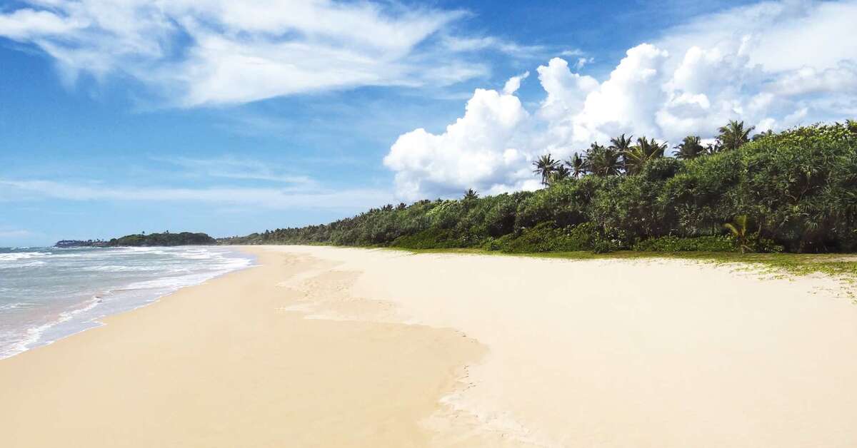 Een foto van Centara Ceysands Resort & Spa Sri Lanka
