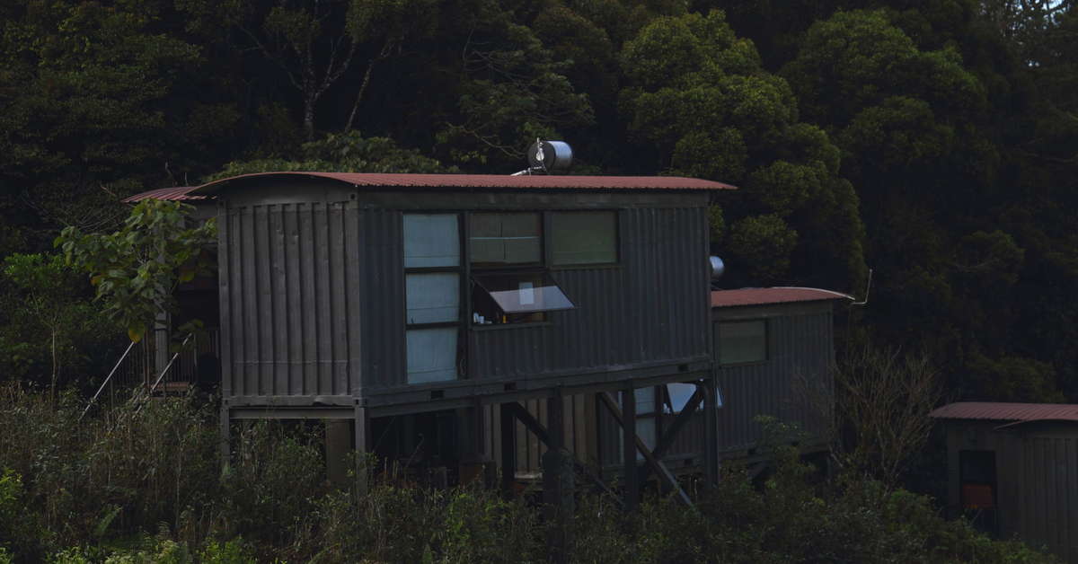 Een foto van Rainforest Eco Lodge