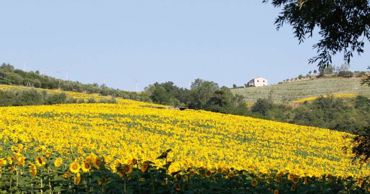 Een foto van Lodges Podere Sei Poorte