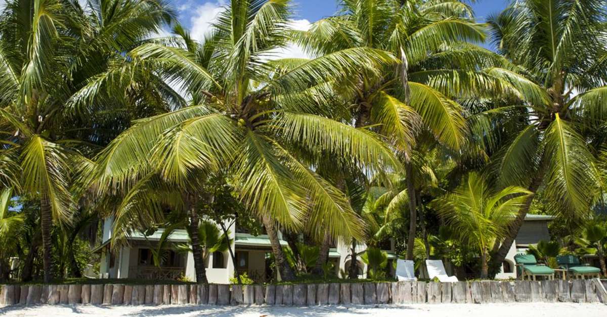 Een foto van Indian Ocean Lodge